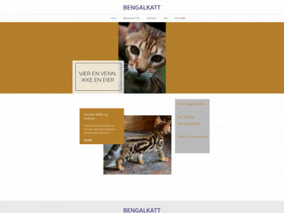 bengalkatter.no snapshot