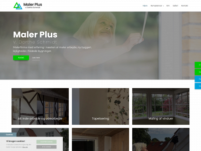 malerplus.dk snapshot