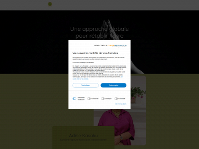 adelekasaku.com snapshot