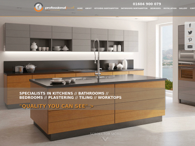 professionalfinish.co.uk snapshot