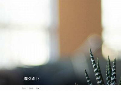 onesmile.ca snapshot