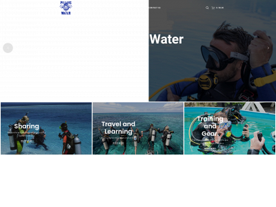 pillarsofwater.com snapshot