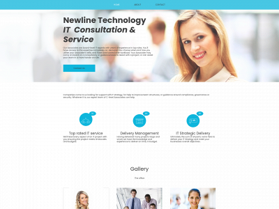 newlinetechnology.co.uk snapshot