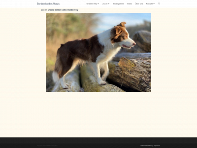 borderdoodle-ahaus.de snapshot