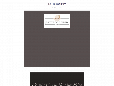 www.tatteredbrim.com snapshot