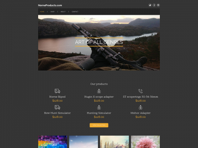 norneproducts.com snapshot