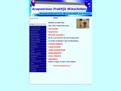 irenewieringa.nl snapshot