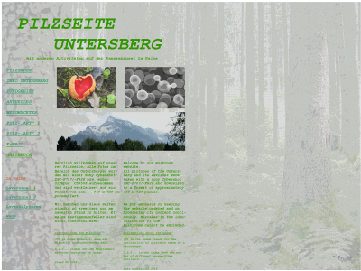 hleitnersbg.de snapshot