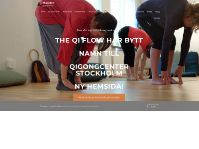 theqiflow.com snapshot