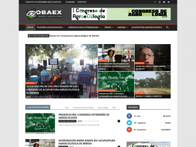 obaex.org snapshot