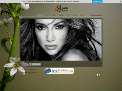 levistasalon.com snapshot