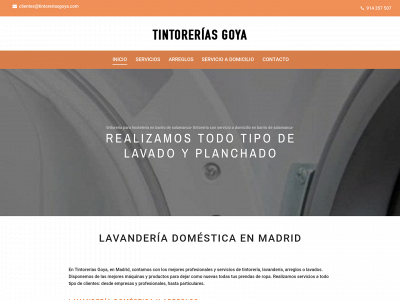 www.tintoreriasgoya.com snapshot