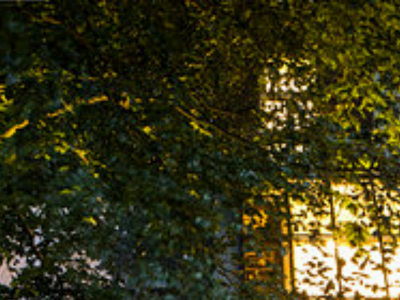 tuinontwerp-tuinarchitecten.nl snapshot
