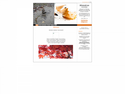 jkconsult.me snapshot