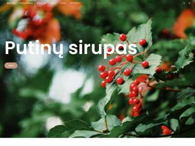 putinusirupas.lt snapshot