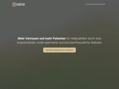 schuhmacher-consulting.de snapshot