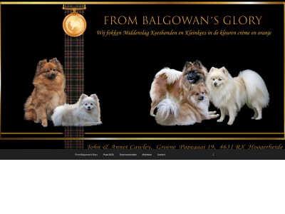 frombalgowansglory.nl snapshot
