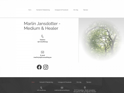 mjhconsulting.se snapshot