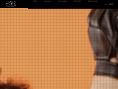 kungfuessex.co.uk snapshot