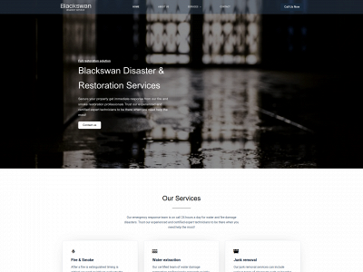 blackswandisasterservices.com snapshot