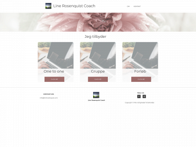 linerosenquist.com snapshot