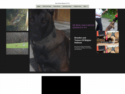 yaffahopi.simplesite.com snapshot