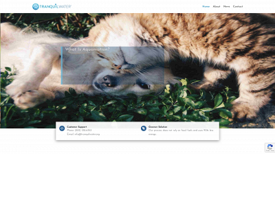 tranquilwater.org snapshot