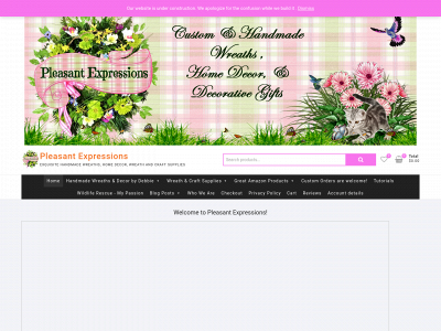 pleasantexpressions.com snapshot