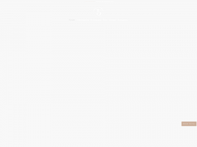 christinabroendum.dk snapshot
