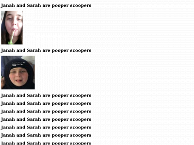 aboutmoose.com snapshot