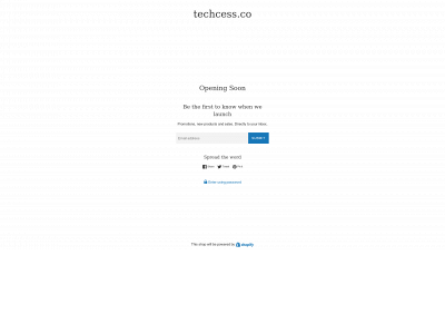 techcess.co snapshot