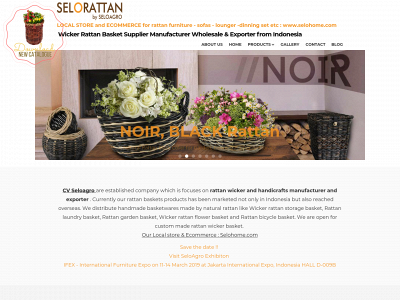 selorattan.com snapshot
