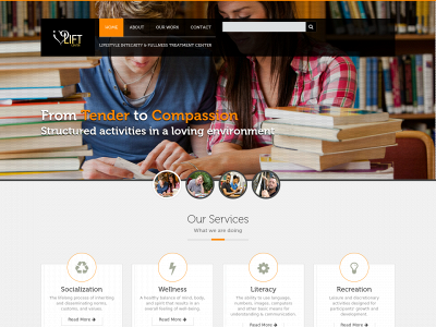 theliftcenter.net snapshot