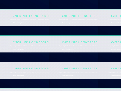 perspectiveintelligence.co.uk snapshot