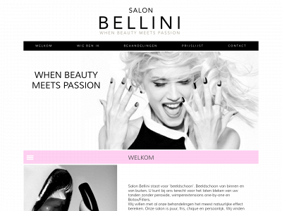 salonbellini.nl snapshot