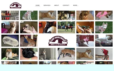 bridlewoodkennels.com snapshot