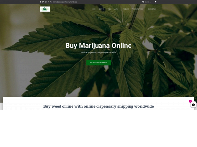 taylormeds.online snapshot