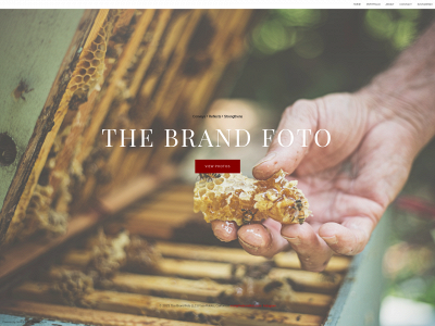 thebrandfoto.com snapshot