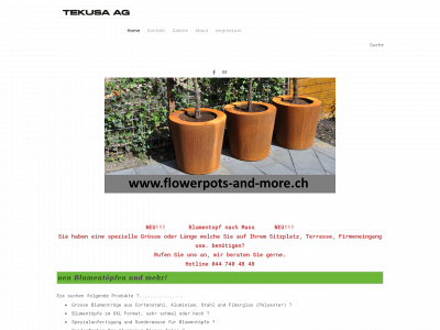 www.tekusa.li snapshot