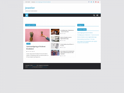 jewelier.dk snapshot