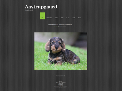 aastrupgaard.dk snapshot