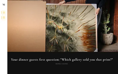 marbleiguana.com snapshot