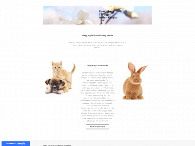 ravensongcorgis.weebly.com snapshot