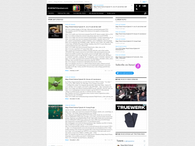 bingewatchpodcast.com snapshot