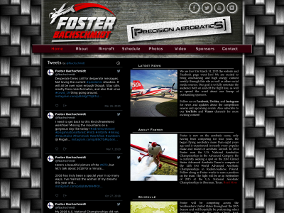 fosterbachschmidt.com snapshot