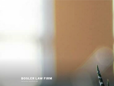 boslerlaw.com snapshot