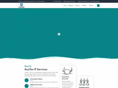 austexitservices.com snapshot