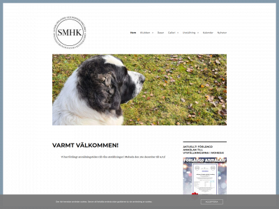 smhk.nu snapshot