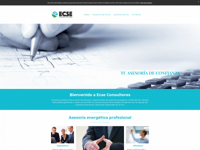 ecseconsultores.es snapshot