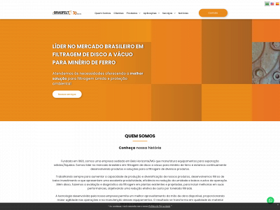 brasfelt.com.br snapshot
